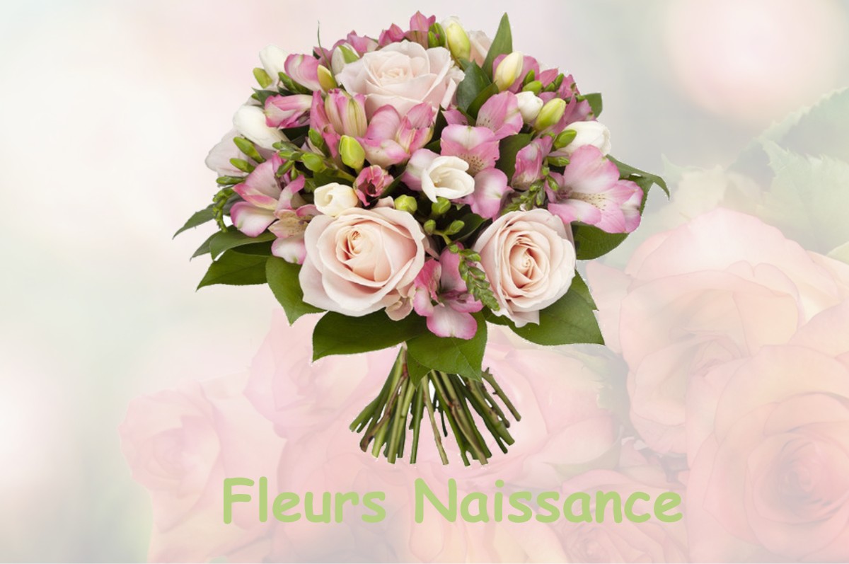 fleurs naissance MALAUSSENE