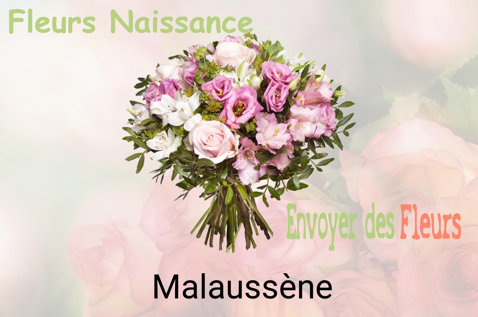 Bouquet de fleurs de naissance livré à Malaussène