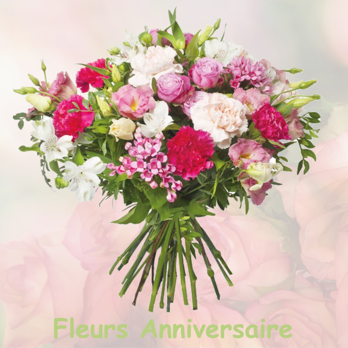 fleurs anniversaire MALAUSSENE