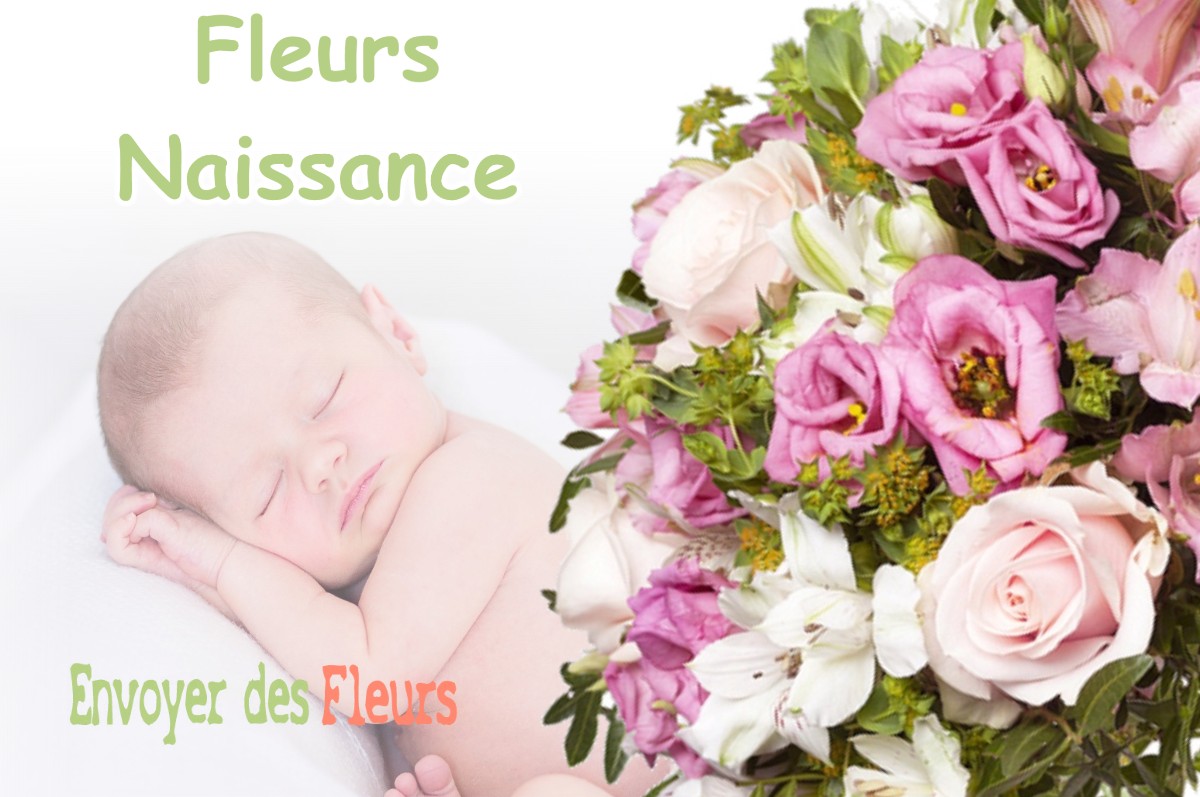 lIVRAISON FLEURS NAISSANCE à MALAUSSENE